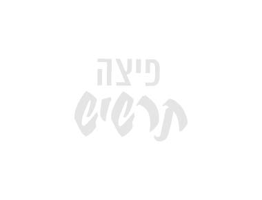2 מגשים משפחתיים L רגילים 2 מגשים משפחתיים L רגילים פיצה תרשיש חולון