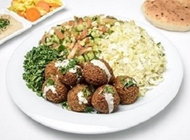 פלאפל ג'ינה בחמגשית פלאפל ג'ינה בחמגשית פלאפל ג'ינה שוקן תל אביב