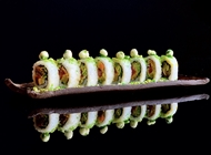 Spicy Tuna Spicy Tuna Sushi Bar Bazel Frishman