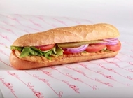 תבשיל עוף פטריות ובצל במגשית תבשיל עוף פטריות ובצל במגשית שניצליין רעננה