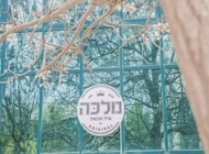 8. 8. מלכה גריל ותבשיל ירושלים