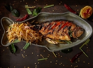 פלא יאנג 🌶️ פלא יאנג 🌶️ Tiger Lilly טייגר לילי רמת החייל