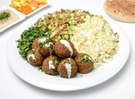 פלאפל ג'ינה במגשית פלאפל ג'ינה במגשית פלאפל ג'ינה מנחם בגין תל אביב