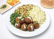 פלאפל ג'ינה במגשית פלאפל ג'ינה במגשית פלאפל ג'ינה מנחם בגין תל אביב