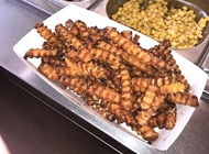 צ'יפס בטטה צ'יפס בטטה Patatas פאטאטאס חולון