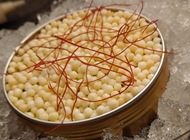 Hot Tuna Hot Tuna סלאס תל אביב