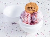 רבע קילו גלידה רבע קילו גלידה גולדה חולון - כשר