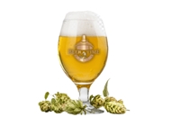 Ole Hadash blonde Beer Time ביר טיים ראשון לציון