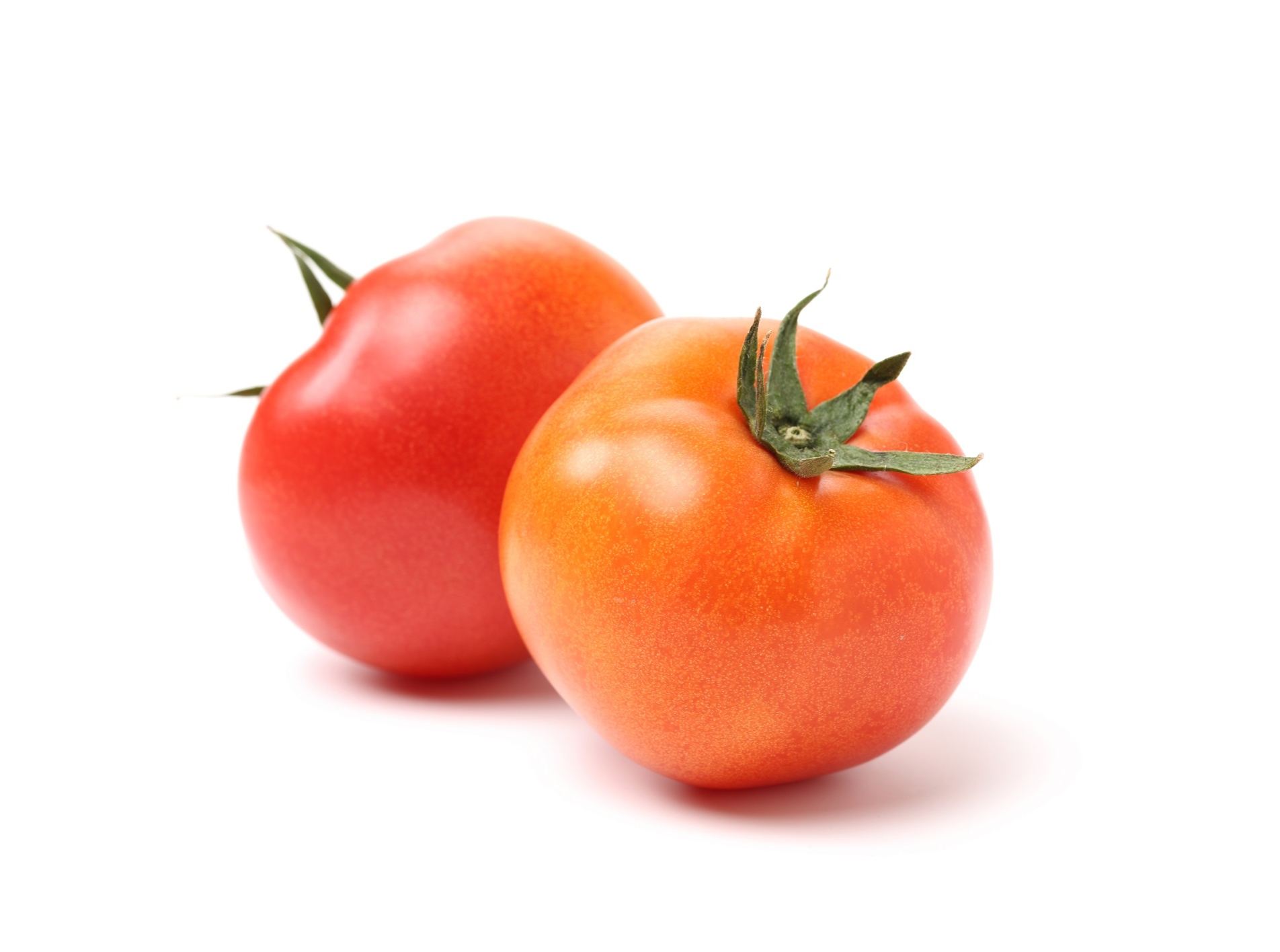 עגבנית מגי דובדבן פירות וירקות קרית חיים