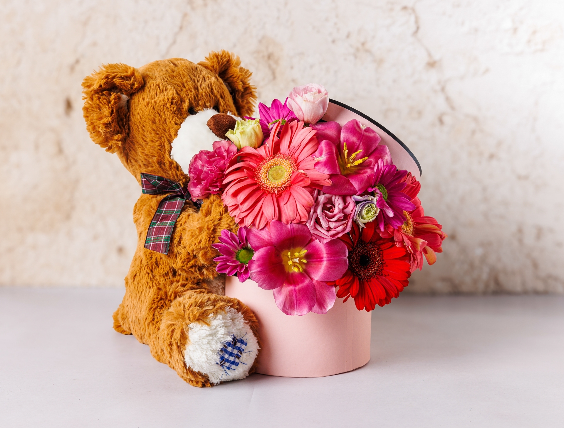 teddy bear hug ניקול גרדן תל אביב יפו