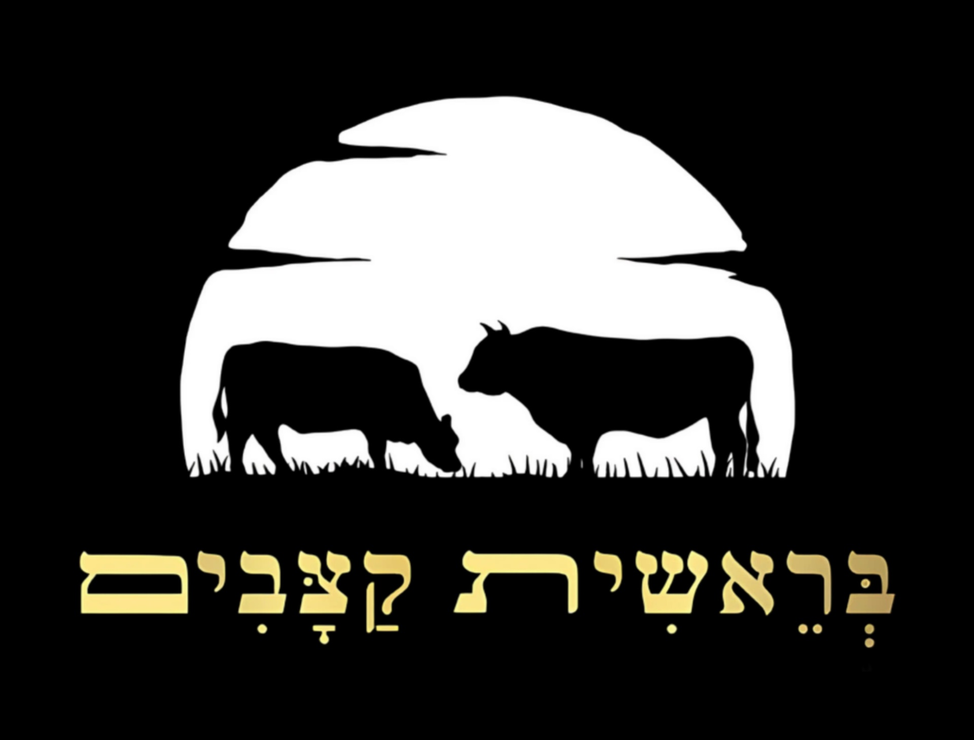 סטייק RIOPLATENSE בראשית קצבים מעלה אדומים