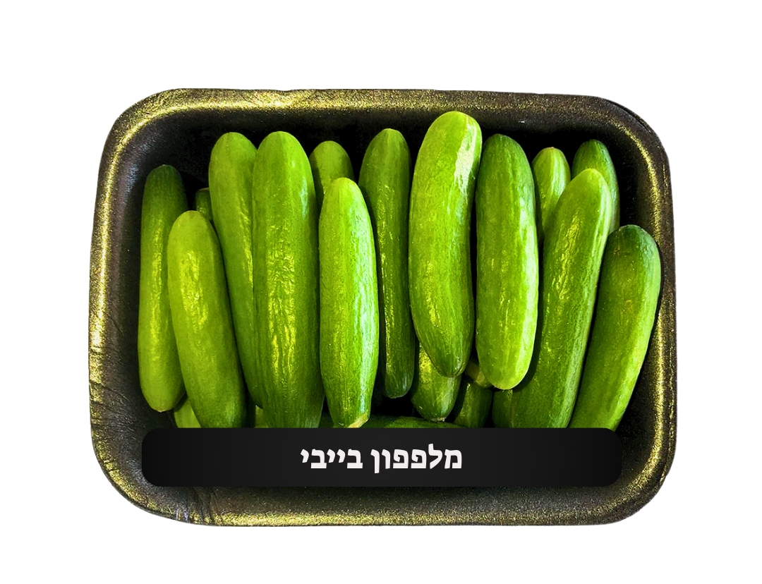 מארז מלפפון מיני | ישראל הירקניה של סאן הרצליה