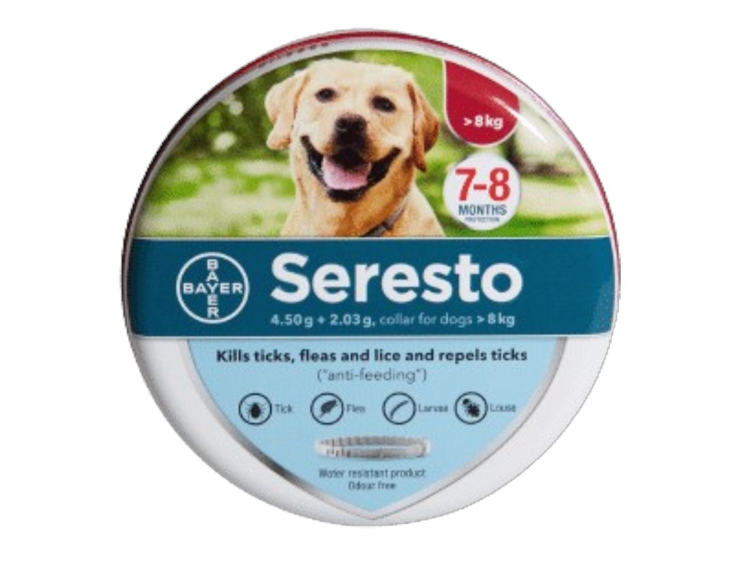 Seresto – קולר סרסטו לכלבים במשקל עד 8 ק"ג דוגס סטייט רמת גן