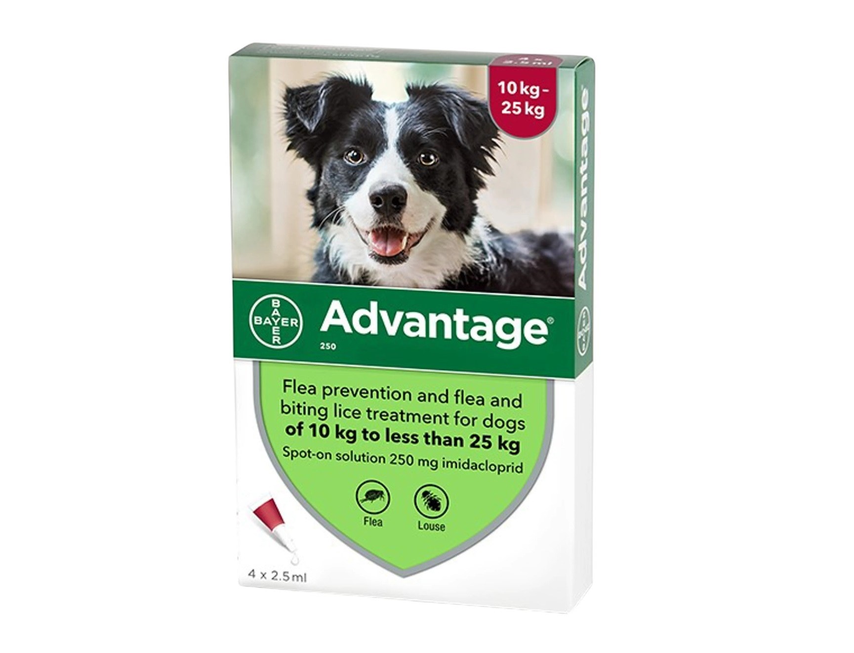 Advantage – אדוונטג' אמפולות נגד פרעושים לכלבים במשקל 10 עד 25 ק"ג דוגס סטייט רמת גן