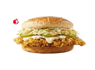 זינגר שום KFC | קנטאקי פרייד צ'יקן גרנד קניון חיפה
