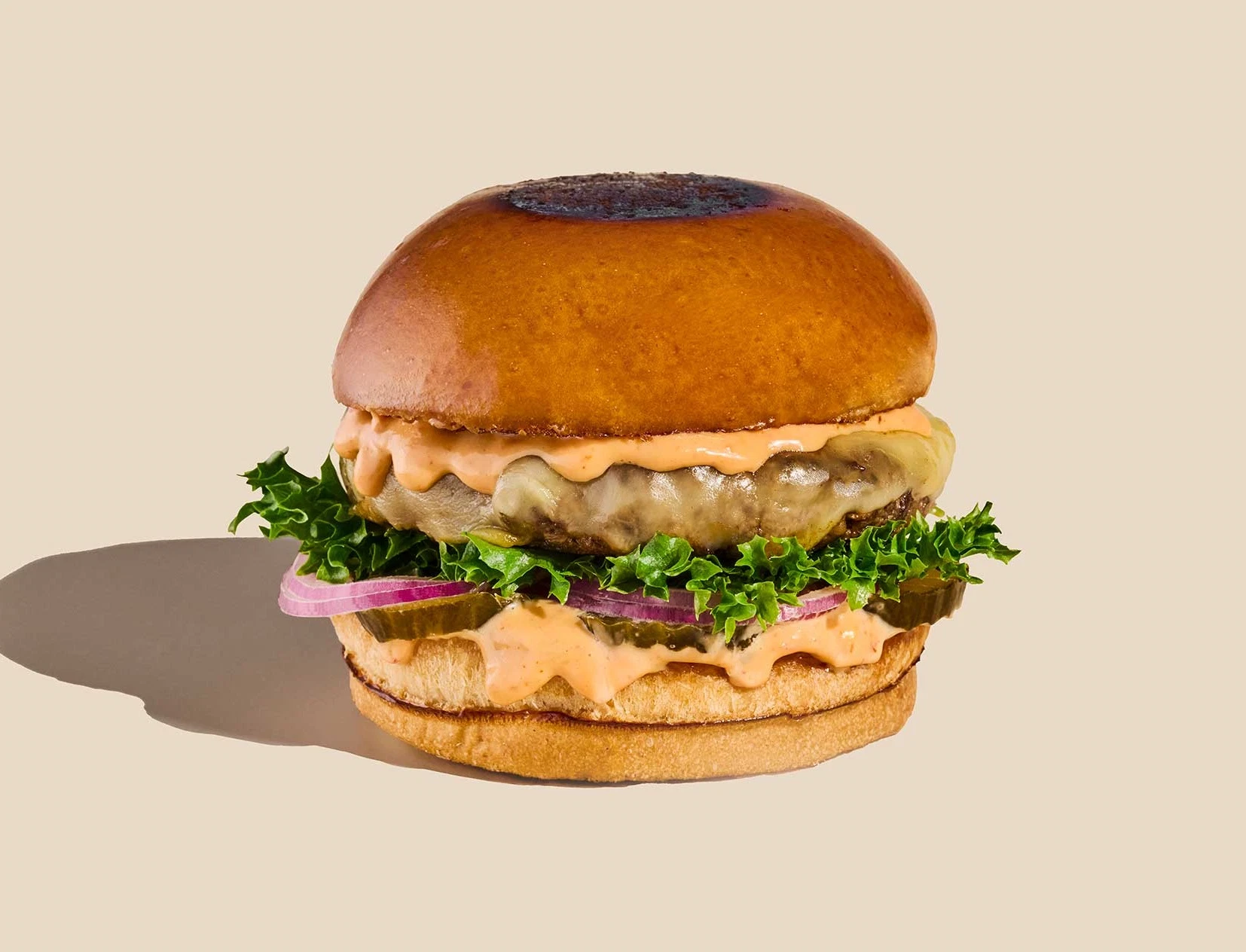 CHEESE BURGER נתנזון בורגר חיפה