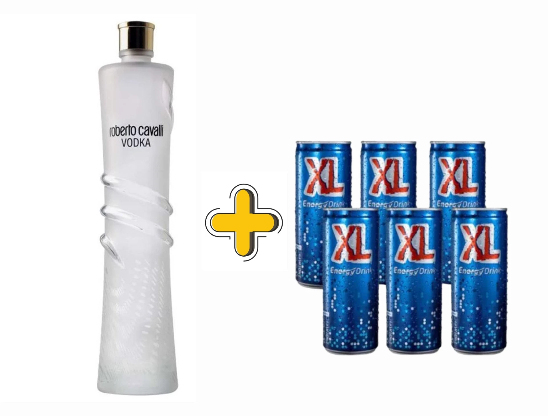 מארז רוברטו קוואלי ליטר ישיבה עם חברים שר המשקאות דיזינגוף