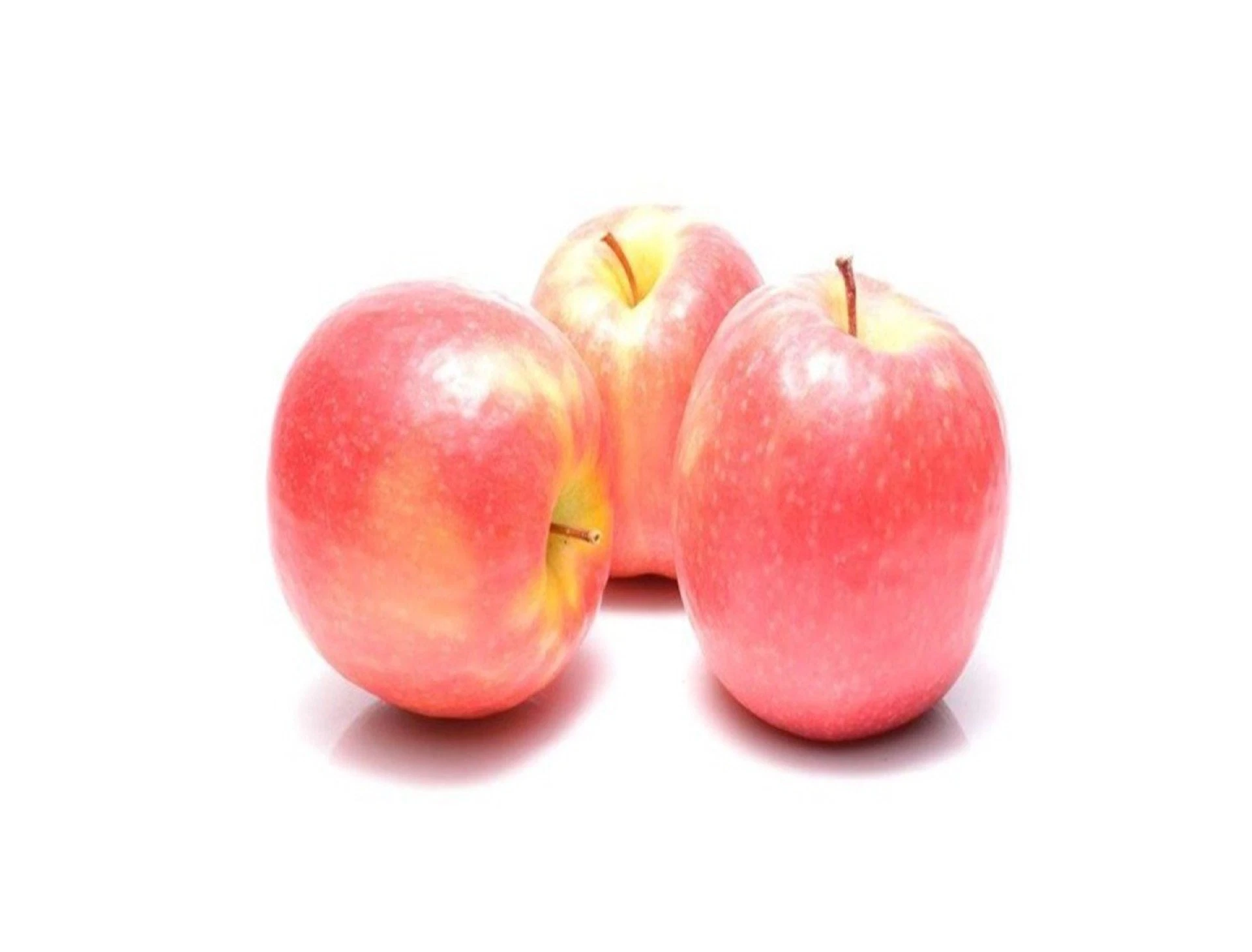 תפוח פינק ליידי טוהר האדמה הרצליה
