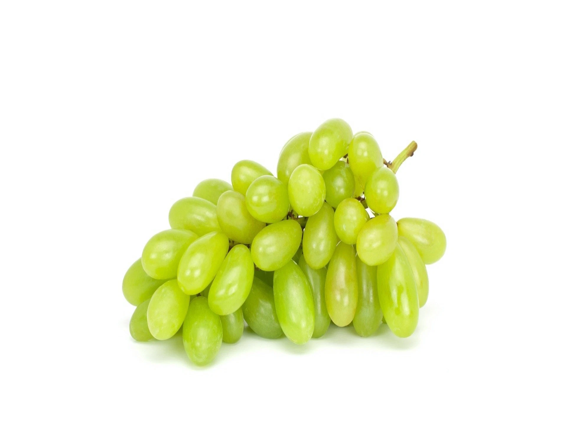 ענב ירוק טלי אוטם קריספ טוהר האדמה הרצליה
