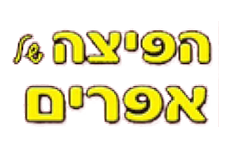 הפיצה של אפריים אשקלון