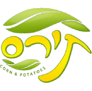 תירס עפולה