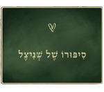 סיפורו של שניצל באר שבע