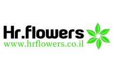 HR Flowers פרחים רמת גן