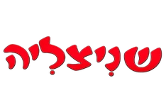 שניצליה נס ציונה