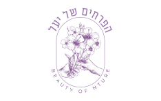 הפרחים של יעל תל אביב