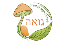 גואה פירות וירקות תל אביב