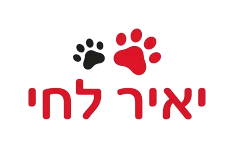 יאיר לחי חולון