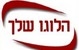 פיצה דומינו חולון
