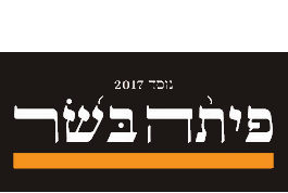 פיתה בשר